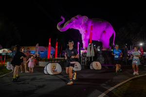 BIB: 
                            <button type="button" onclick="openModal(26552182)" class="btn btn-primary btn-sm float-right btn-popup" data-toggle="modal" data-target=".modal-high-quality">
                        <i class="fas fa-shopping-cart"></i> Add to Cart
                    </button>
                                            <button type="button" onclick="isThisMe(26552182, true)" class="btn btn-success btn-sm float-right btn-popup btn-isme hidden" data-toggle="tooltip" data-placement="bottom" title="นี่คือรูปของคุณใช่ไหม คลิกที่นี่เพื่อเอาเข้าอัลบั้ม">
                        <i class="fas fa-plus"></i> Add to album
                    </button>
                    <button type="button" onclick="isThisMe(26552182, false)" class="btn btn-warning btn-sm float-right btn-popup btn-isnotme hidden">
                        <i class="fas fa-ban"></i> Remove from album
                    </button>